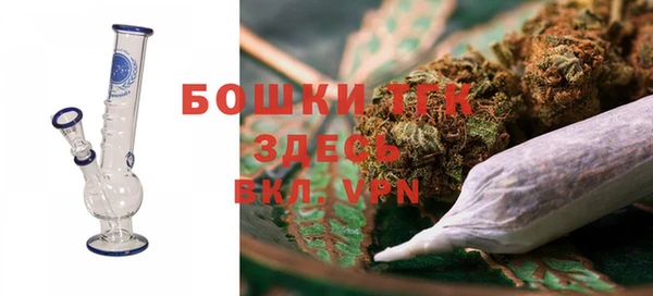 тгк Мегион