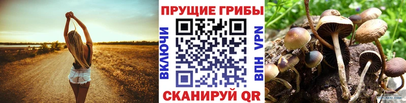 Галлюциногенные грибы ЛСД  где можно купить   Малоархангельск 